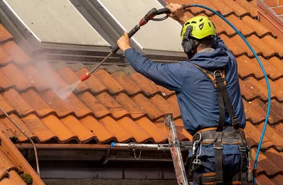 Démoussage et hydrofuge de toiture à Trébons